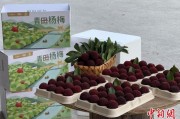 六爻卜卦高速赋能产业升级：一条“杨梅路”的致富密码